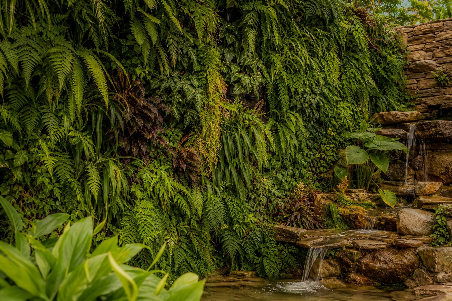 Parede verde tropical com folhagens e pequena cascata de pedra
